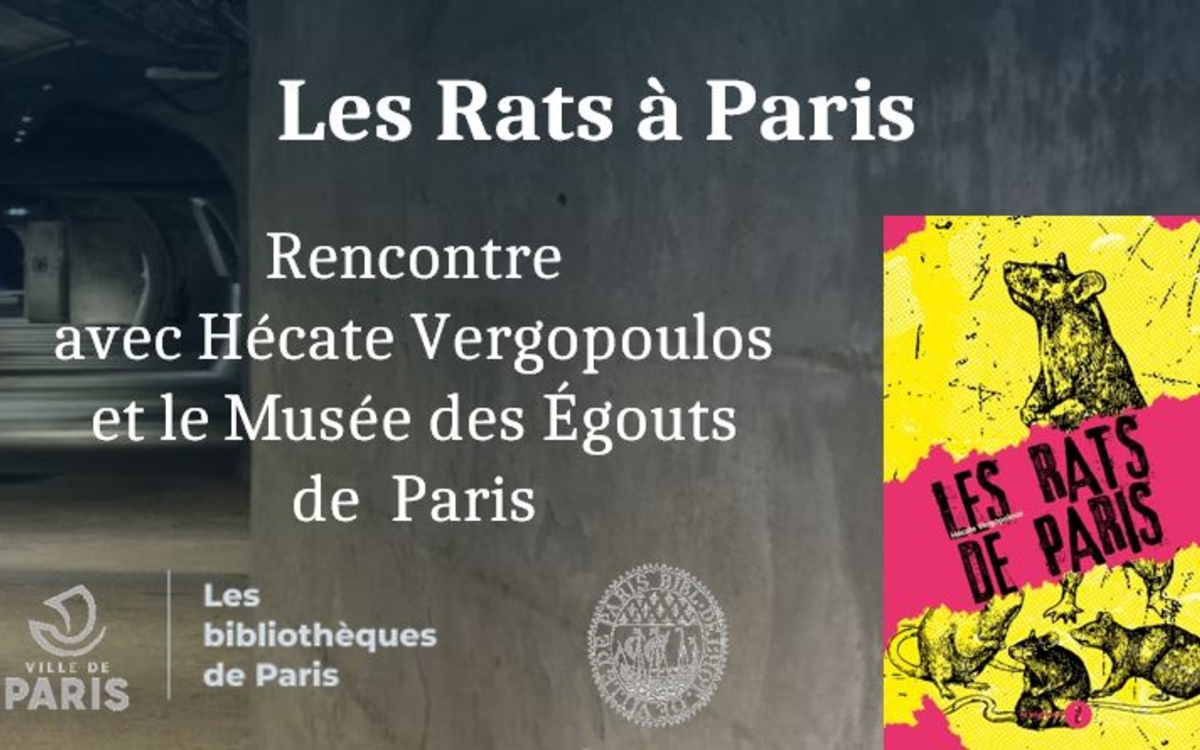 Les rats à Paris